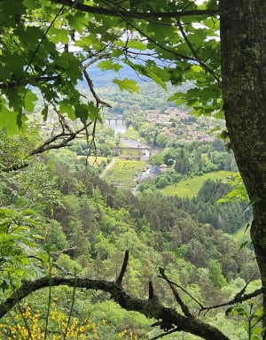 Balade argentée face au Château de Lavoûte-Polignac - Lavoûte-sur-Loire - 12