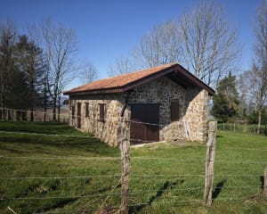 Beklimming van de berg Ursuya vanuit Hasparren - Hasparren - 32