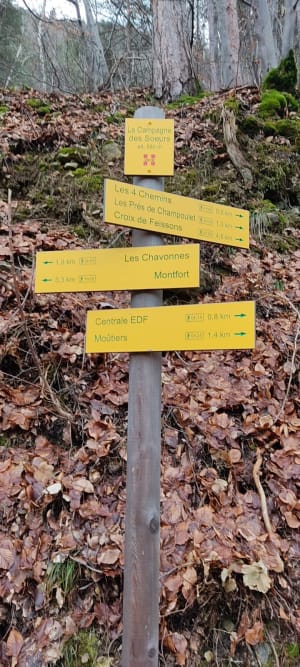 Petit tour entre Moutiers et Salins - Moutiers - 4