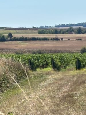 Valence sur Baise - Hugo - 7