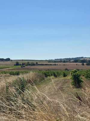 Valence sur Baise - Hugo - 8