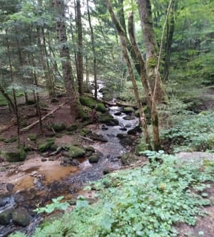 La cascade de Gumières - Gumières - 17