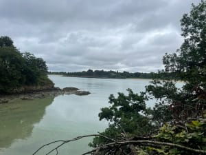 Balade dans le GR de la Baye du Guildo - Saint-Cast-le-Guildo - 5