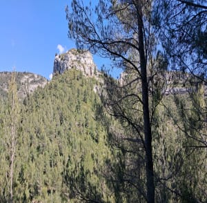 RAVIN DES ENCANAUX ET SES GROTTES - Delphine - 12