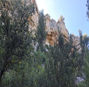 RAVIN DES ENCANAUX ET SES GROTTES - Delphine - 14
