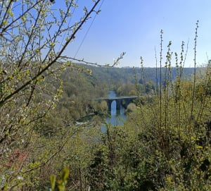 Balade au bord de l’Orne, à travers bois et champs - Amayé-sur-Orne - 8