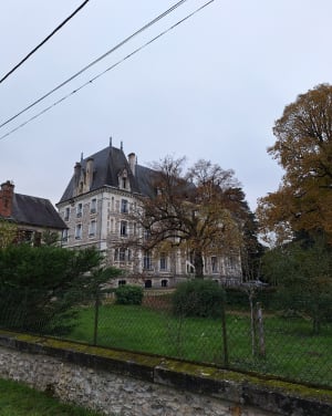 Randonnée nature sur une partie du GR3 - Azay-le-Rideau - 9