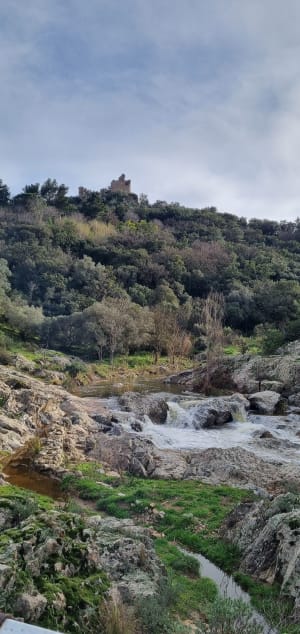 Grimaud : balade 5 étoiles autour du château - Grimaud - 13