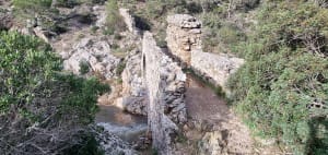 Grimaud : balade 5 étoiles autour du château - Grimaud - 15
