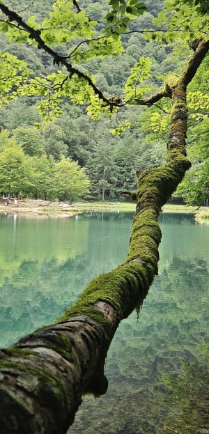 Boucle lac de Bethmale - Bethmale - 8