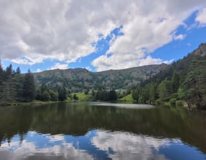 Lac Noir, Lac du Forlet - Orbey - 50