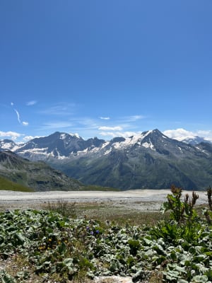 Balade à la Roche de Mio - La Plagne-Tarentaise - 13