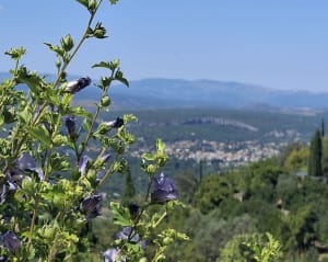 Découverte du Rocher de Sampzon - Sampzon - 11