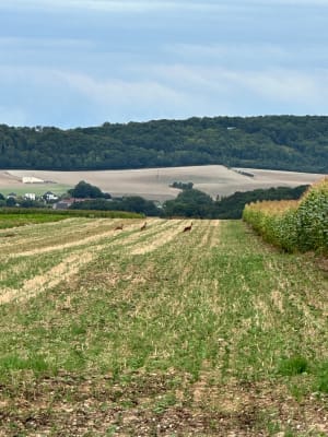 Sentier de la Haute Vallée de la Lawe - Beugin - 26