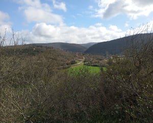 Randonnée autour de Bruniquel - Grégory - 6
