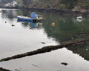 Boucle Aber de Merrien au départ de kervaziou - Moëlan-sur-Mer - 13