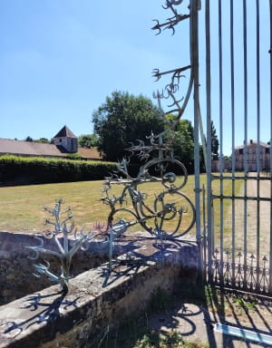 Balade de Nandy par l'Etang de la Sablonnière - Savigny-le-Temple - 4