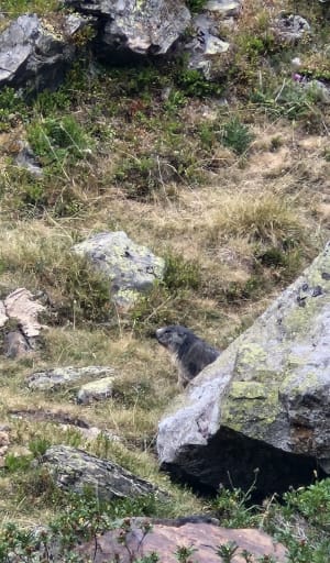 De marmottenhoek in Piau Engaly - Piau Engaly - 10