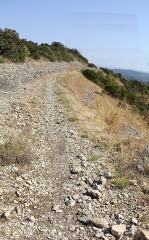 Wandel rond de Rocher de Sampzon - Sampzon - 6
