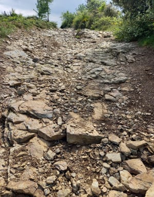 Sentier des croix Farnay - Farnay - 9