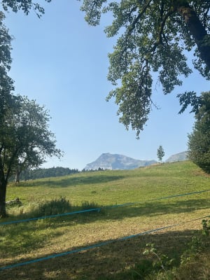 La pierre à Laya - Arâches-la-Frasse - 6