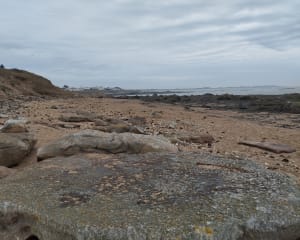 Balade sur l'Herbaudiere - Noirmoutier-en-l'Île - 10