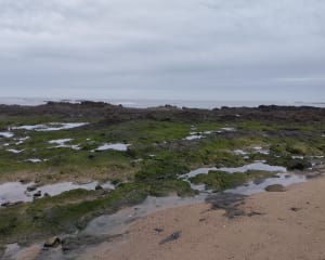 Balade sur l'Herbaudiere - Noirmoutier-en-l'Île - 11
