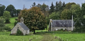 Hauteurs de Saint-Michel-en-Grève et bord du Kerdu - Saint-Michel-en-Grève - 17