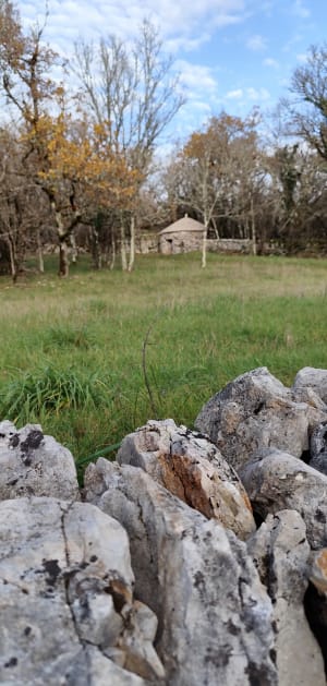 Circuit des cabanes à Limogne-en-Quercy - Limogne-en-Quercy - 19