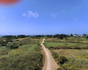 De la côte sauvages à la lande à Quiberon - Quiberon - 11