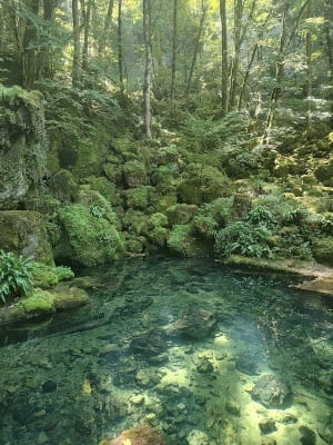 Cascade des tufs au Fer à cheval. - La Châtelaine - 8