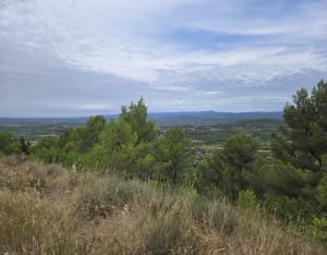 Serre d'Oupias, la Mata Doça et Mont Ségonne - Oupia - 8