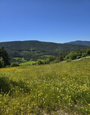 Tour de Villard de Lans par les Clots et les Glovettes - Villard-de-Lans - 16
