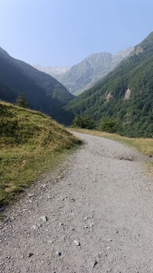 Een wandeling rond het Oô-meer en zijn vele facetten van het dierenleven - Les Granges d'Astau, Oô - 121