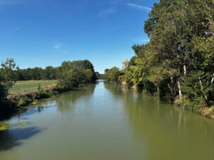 À travers les canaux du marais et ambiance unique à Arçais - Arçais - 2