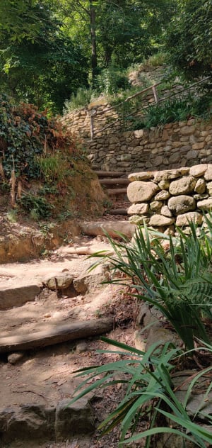 Au fil de l'eau de Laroque-des-Albères - Laroque-des-Albères - 24