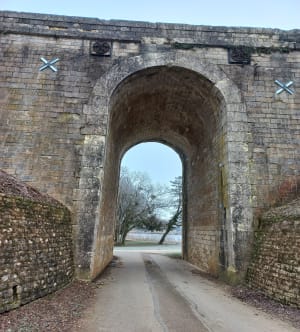 Balade à l’étang de Lamarche sur Saône - Cath - 5