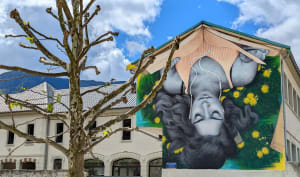 Incontournable, le parcours Street-Art de Moûtiers ! - Moutiers - 22