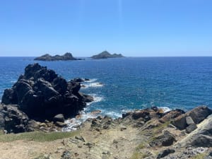 Wilde uitstap van Parata naar het strand van Saint-Antoine - Ajaccio - 34