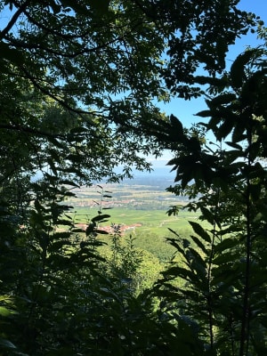 Château du Landsberg à Schlossberg - Barr - 6