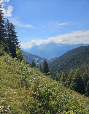 Balade des marmottes - Arâches-la-Frasse - 5