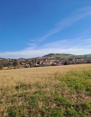 Tour Chauriat-Vertaizon: vue panoramique - Vertaizon - 5