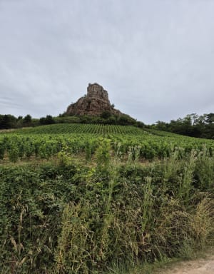 Entre les deux roches de Solutré et Vergisson - Davayé - 10