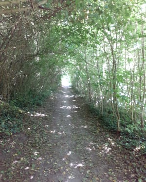 Balade autour d’Esbly - Montry - 8
