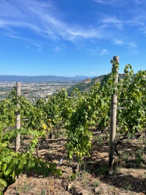 Rand des salamandres - Saint-Péray - 12
