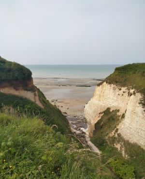 Gorge des Moutiers depuis Varengeville-sur-Mer - Varengeville-sur-Mer - 23