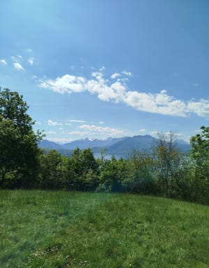 Balade en forêt et vue sur le lac d'Annecy - Annecy - 16