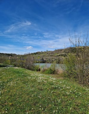 Balade au plan d'eau de Saint Nicolas de la Grave - Saint-Nicolas-de-la-Grave - 6