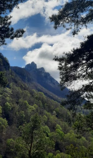 Tour de La Chapelle-du-Mont-du-Chat - La Chapelle-du-Mont-du-Chat - 17