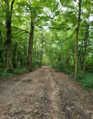 Balade à Longpont-sur-Orge, par Montlhéry et Marcoussis - Longpont-sur-Orge - 11